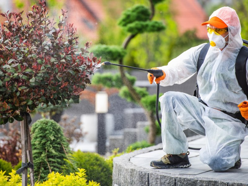 Baklan Haşere İlaçlama