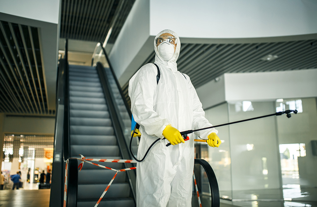 Baklan Haşere İlaçlama